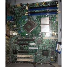 Материнская плата Intel Server Board S3200SH s.775 (Новокуйбышевск)