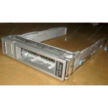 Салазки Sun 350-1386-04 в Новокуйбышевске, 330-5120-04 1 для HDD (Новокуйбышевск)