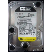 НЕРАБОЧИЙ жесткий диск 1Tb WD RE3 WD1002FBYS (Новокуйбышевск)