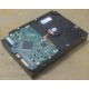 Жесткий диск HP 250Gb 7200 rpm 432337-001/ 399699-001 / 397377-004 (Новокуйбышевск)