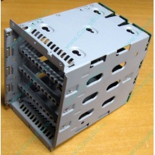 Корзина для HDD HP 454385-501 (459191-001) - Новокуйбышевск