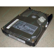 Жесткий диск 18.4Gb Quantum Atlas 10K III U160 SCSI (Новокуйбышевск)