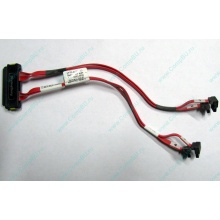 SATA-кабель для корзины HDD HP 451782-001 459190-001 для HP ML310 G5 (Новокуйбышевск)