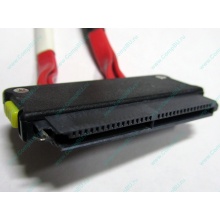 SATA-кабель для корзины HDD HP 451782-001 459190-001 для HP ML310 G5 (Новокуйбышевск)