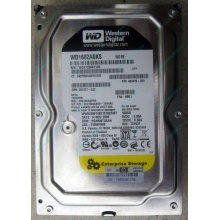 Жесткий диск 160Gb WD WD1602ABKS SATA (Новокуйбышевск)