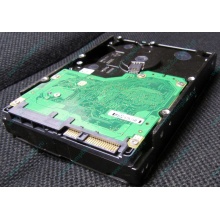 Жесткий диск 600Gb 15k Dell 9FN066-008 6G SAS ( Seagate Cheetach ST3600057SS 15K.7) - Новокуйбышевск