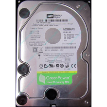 Б/У жёсткий диск 500Gb Western Digital WD5000AVVS (WD AV-GP 500 GB) 5400 rpm SATA (Новокуйбышевск)