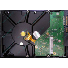 Б/У жёсткий диск 1Tb Western Digital WD10EVVS Green (WD AV-GP 1000 GB) 5400 rpm SATA (Новокуйбышевск)