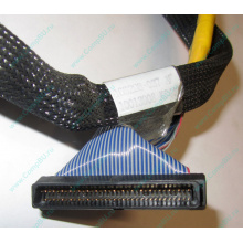 Кабель SCSI HP 166298-037 для HP ML370 G4 (Новокуйбышевск)