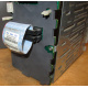 HP 365664-001 кабель SCSI для корзины 373108-001 / 359719-001 HP ML370G4 (Новокуйбышевск)