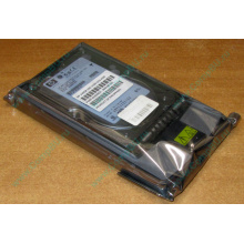 Жёсткий диск 146.8Gb HP 365695-008 404708-001 BD14689BB9 256716-B22 MAW3147NC 10000 rpm Ultra320 Wide SCSI купить в Новокуйбышевске, цена (Новокуйбышевск).