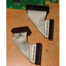 6017B0045701 Шлейф 24 pin для Intel C74974-401 T0043401-B01 корпуса SR2400 (Новокуйбышевск)