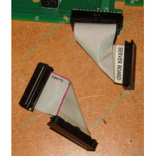6017B0045701 Шлейф 24 pin для Intel C74974-401 T0043401-B01 корпуса SR2400 (Новокуйбышевск)