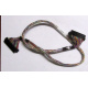 Intel 6017B0045301 в Новокуйбышевске, 68 pin SCSI кабель 26.5" / 57см для корзины HDD корпуса SR2400 (Новокуйбышевск)