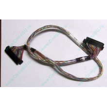 6017B0045301 в Новокуйбышевске, 68pin SCSI кабель 26.5" / 57cm для корзины HDD Intel SR2400 (Новокуйбышевск)