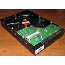 Жесткий диск 500Gb WD WD5000AAKX HP 634605-003 613208-001 7.2k SATA (Новокуйбышевск)