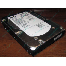 Жесткий диск 300Gb 15k Dell 9CH066-050 6G SAS (Seagate Cheetach ST3300656SS 15K.6) - Новокуйбышевск