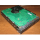 Жесткий диск 300Gb 15k Seagate Cheetach ST3300656SS 15K.6 Dell 9CH066-050 6G SAS (Новокуйбышевск)