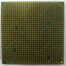 Процессор AMD Sempron 3000+ (1.6GHz) SDA3000IAA3CN s.AM2 (Новокуйбышевск)